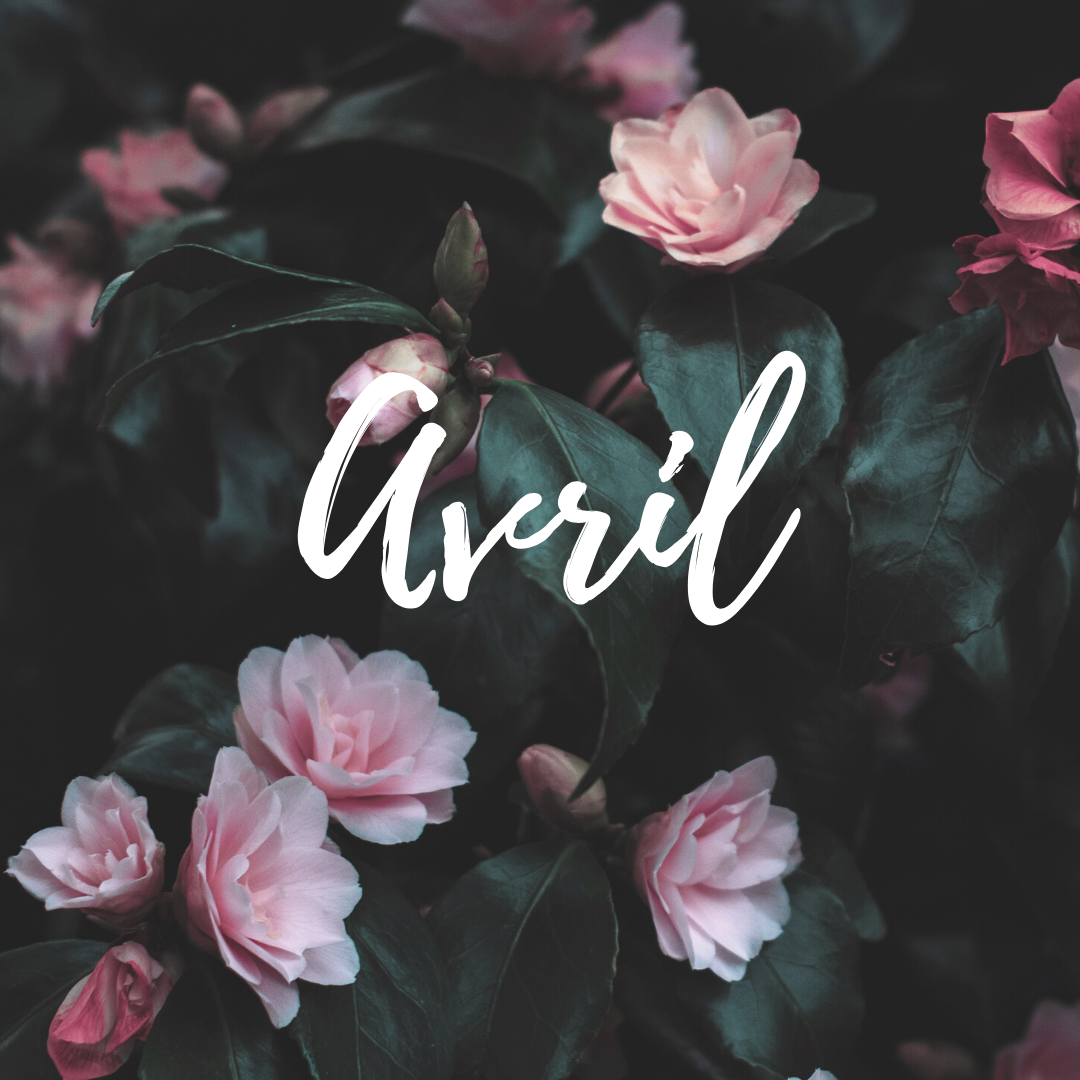 Newsletter du mois d'Avril 